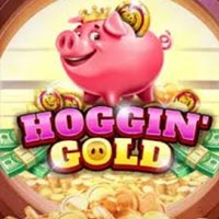 KONOHA88 - Hoggin Gold | nikmati keberuntungan anda